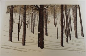 Image description is not available for DU1981.24